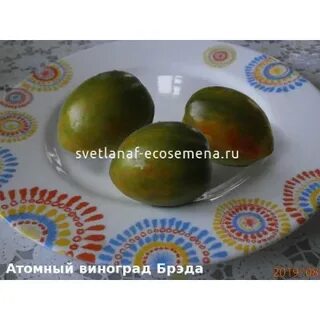 Атомный виноград бреда урожайность