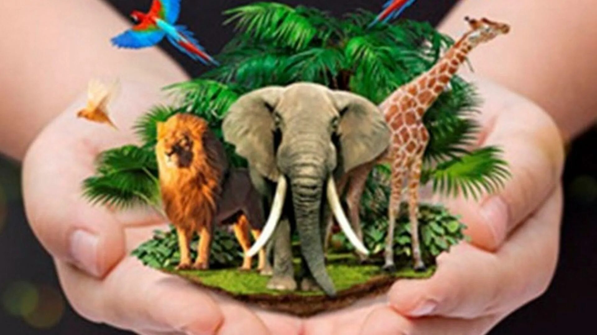 защита животных и растений. знак защиты животных. природа защита животных. защита природы. символ защиты животных.