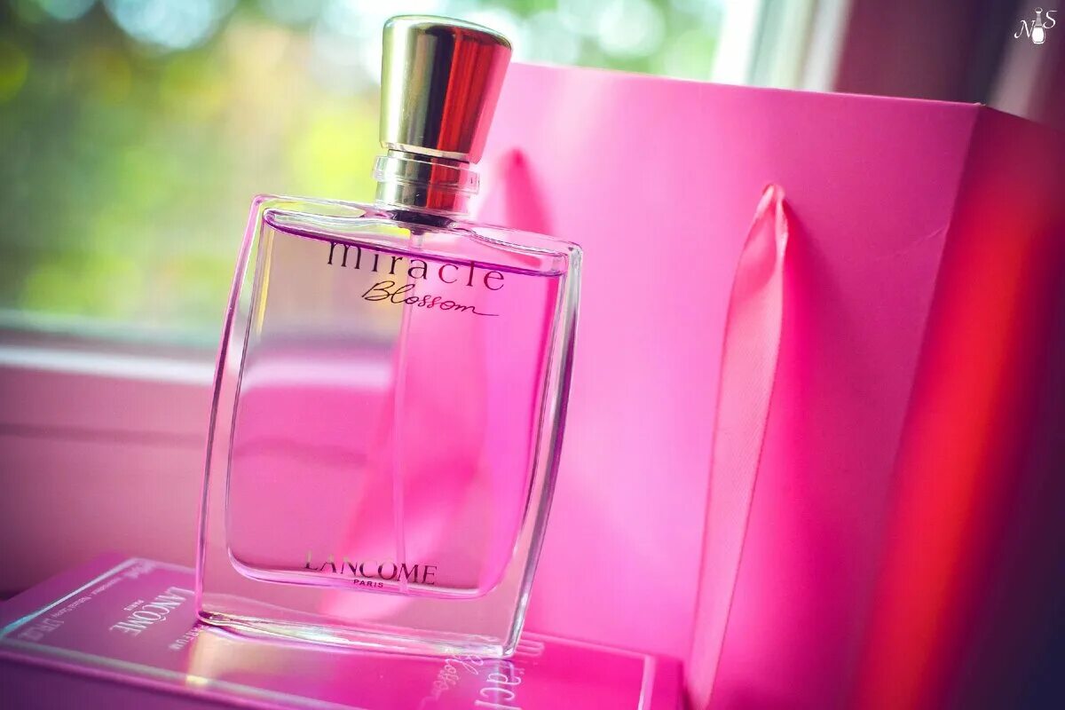 Lancome miracle blossom edp, 100 ml. Lancome miracle blossom edp (w) 50ml. Lancome miracle blossom edp (w) 50ml. Miracle парфюмерная вода 100 м. Пирамида нот в ланком миракл блоссом.