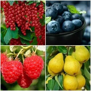 Июль макушка лета год