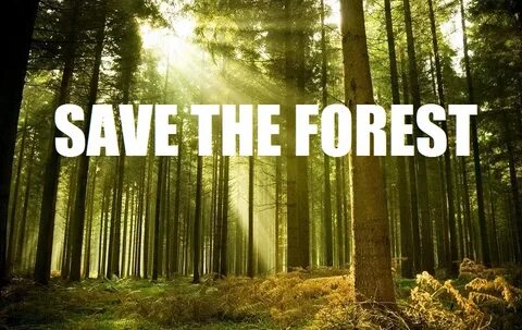 Сохранение the forest