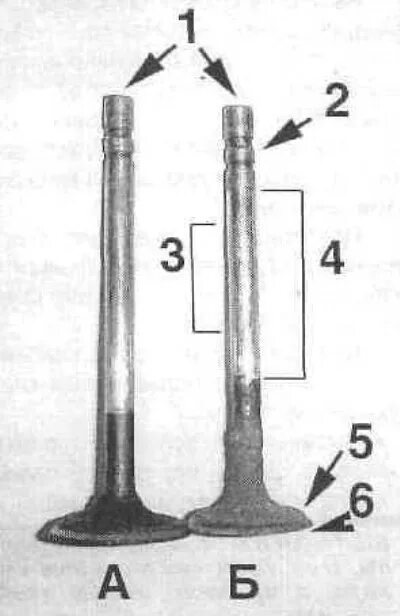 Впускные р выпускные клапана ВАЗ 2107. Впускной и выпускной клапан ВАЗ 21213. Впускной выпускной клапан МТЗ 82. Выпускной клапан двигатель 1.6 Гранта. Как отличить впускной