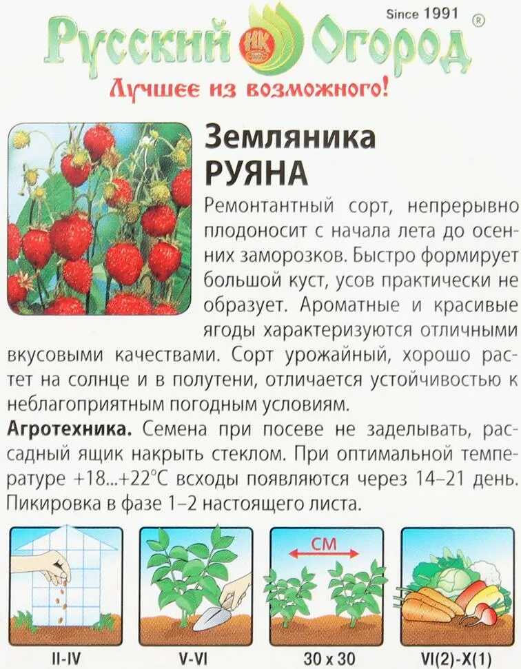 Земляника руяна, ремонтантная, безусая гавриш. Земляника руяна гавриш. Земляника руяна гавриш. Земляника руяна альпийская. Земляника руяна описание сорта отзывы садоводов.