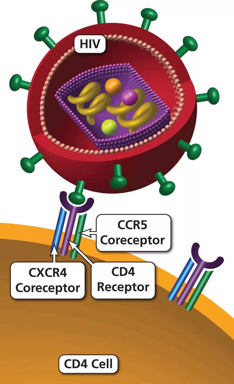 Cd 4 класс
