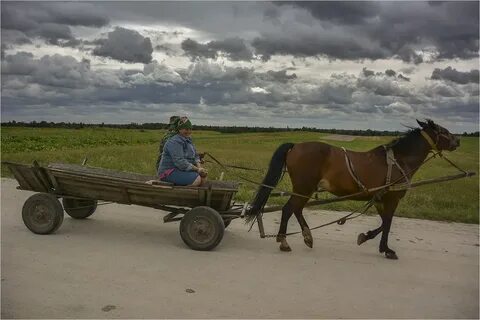 Лайк в телеге
