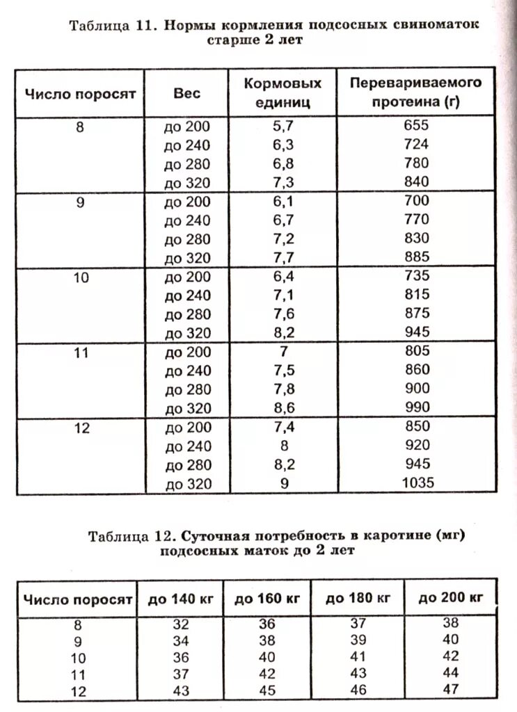 Кормление подсосных. Нормы кормления подсосных свиноматок таблица. рацион подсосных свиноматок. рацион кормления подсосных свиноматок. нормы кормления лактирующих свиноматок.
