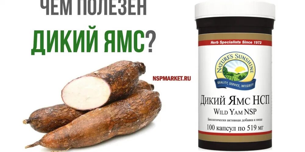 Wild Yam Wild yam, Healing herbs, Herbs