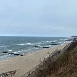 Сосновый бор пионерский