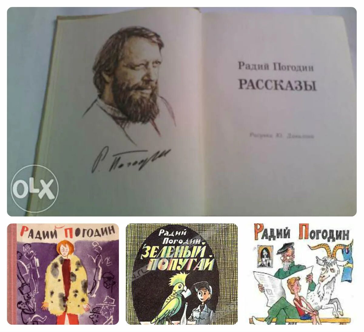 Слушать радий погодин. Погодин Радий Петрович. Радий Погодин книги. Погодин писатель детский. Радий Погодин портрет.