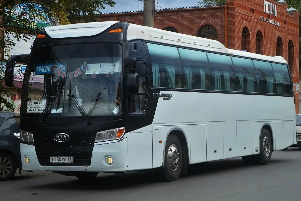 Автобусы Kia Granbird в аренду в Москве - компания "Свадебные Авто"