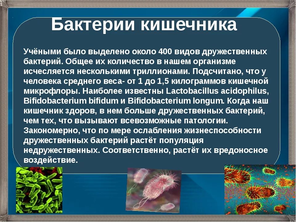 Вывод о разнообразии форм тела бактерий. Полезные и патогенные бактерии. Роль бактерий в кишечнике. Роль кишечных бактерий. Сообщение о полезных бактериях.