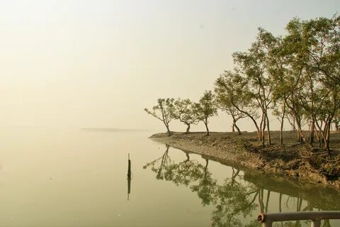 Sundarbans West Wildlife Sanctuary 