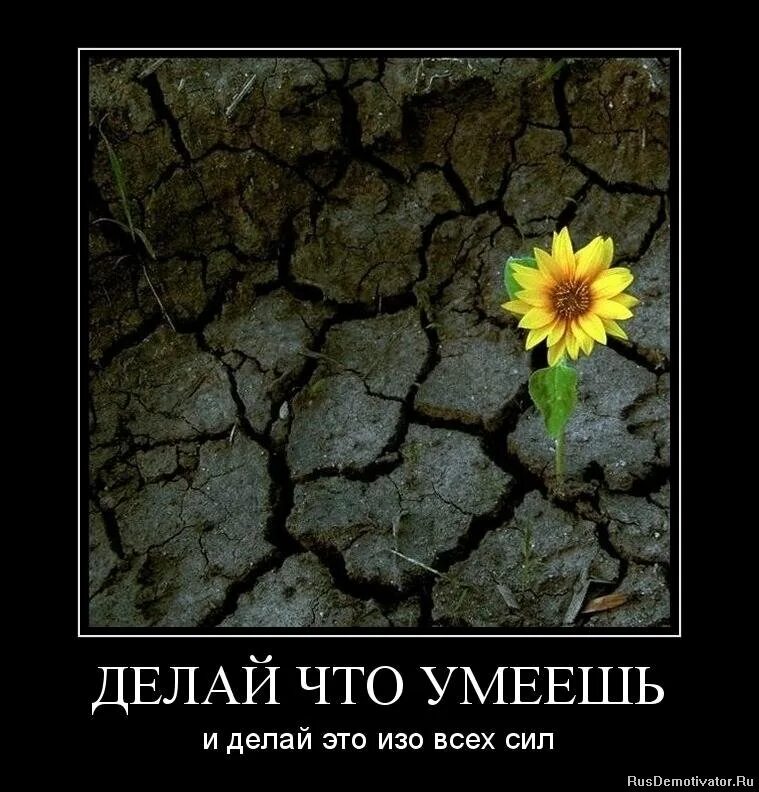 Не умею жить в миру. Желание жить. мотиваторы. демотиваторы про жизнь. мотиватор демотиватор.