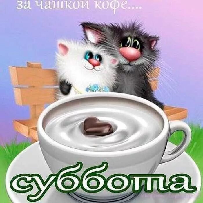 Доброе утро субботы. Доброе утро отличных выходных. Доброе утро котенок. Суббота картинки прикольные. С добрым субботним утром прикольные.