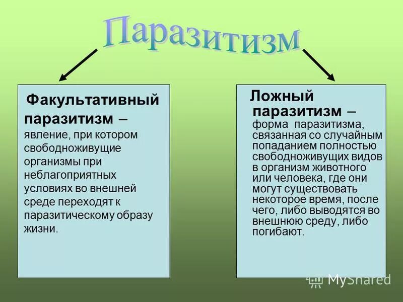 Равный истинный и ложный. Облигатный и факультативный паразитизм. Факультативный паразитизм примеры. Ложный паразитизм. Виды паразитизма с примерами.