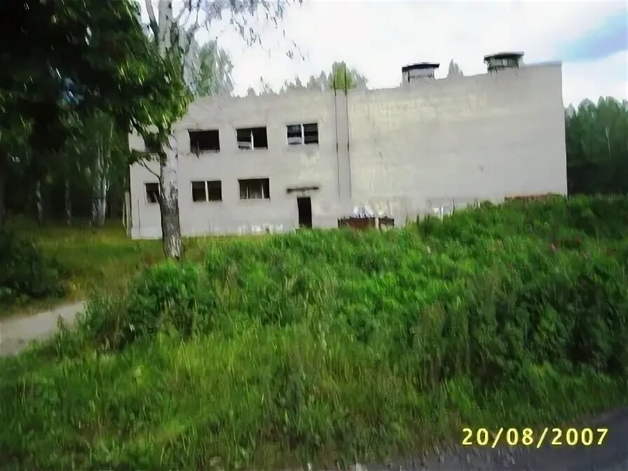 Автобус 124 рощино первомайское. Маршрут 124 автобуса расписание. 124 рощино. Т312еа178. 124 рощино.