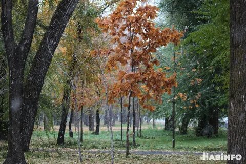 Хабаровск октябрь