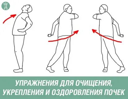 Упражнения для почек