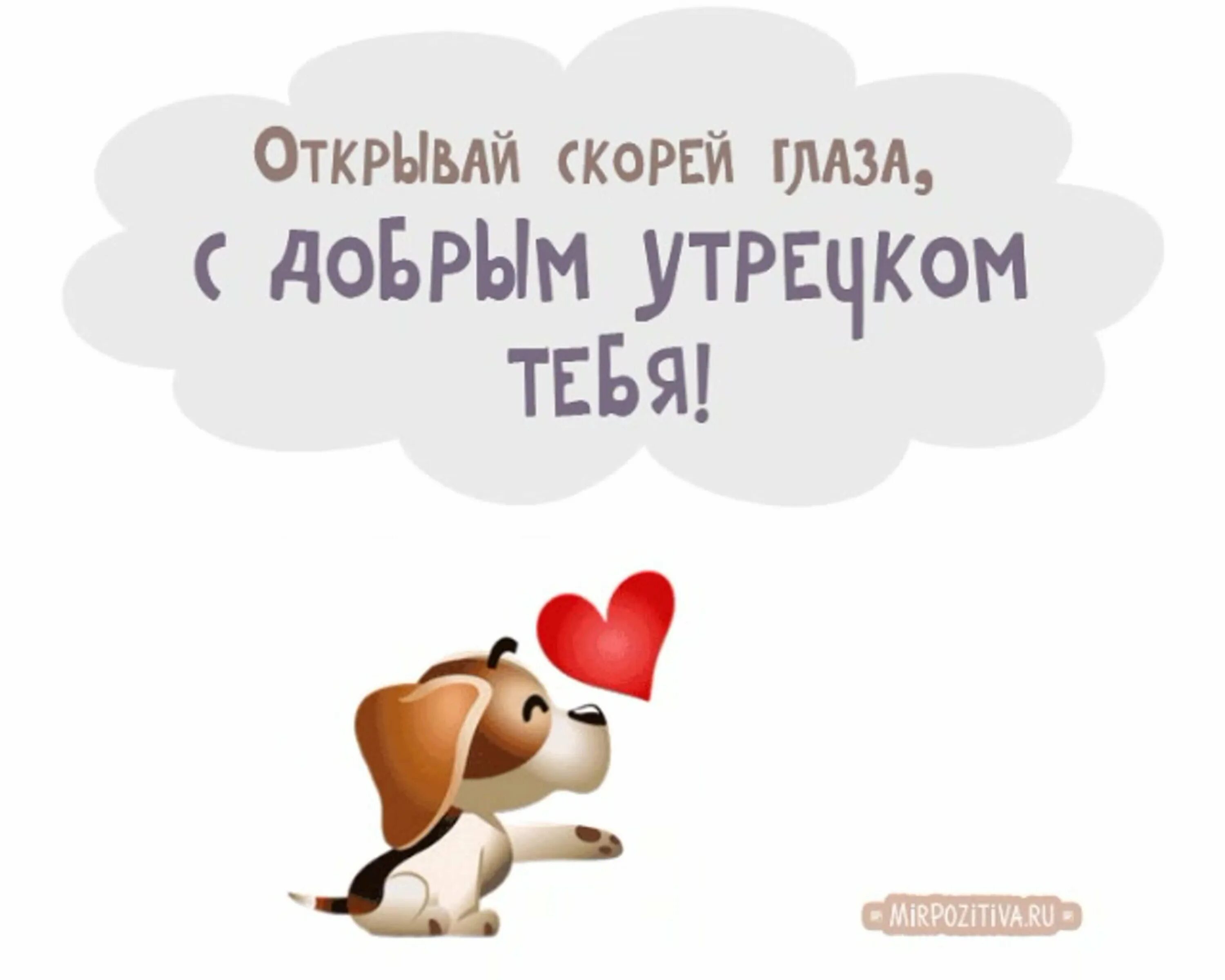 Доброго утра веселые со смыслом. Пожелания с добрым утром прикольные. пожелания с добрым утром прикольные со смыслом. прикольные слова с добрым утром. афоризмы с добрым утром прикольные.