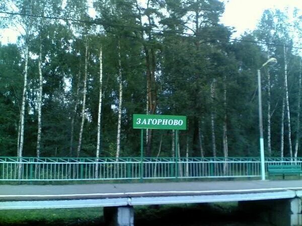Посёлок дружба раменский. Платформа загорново. Озеро в загорного. Электричка отдых загорново. Эд4м кабина.
