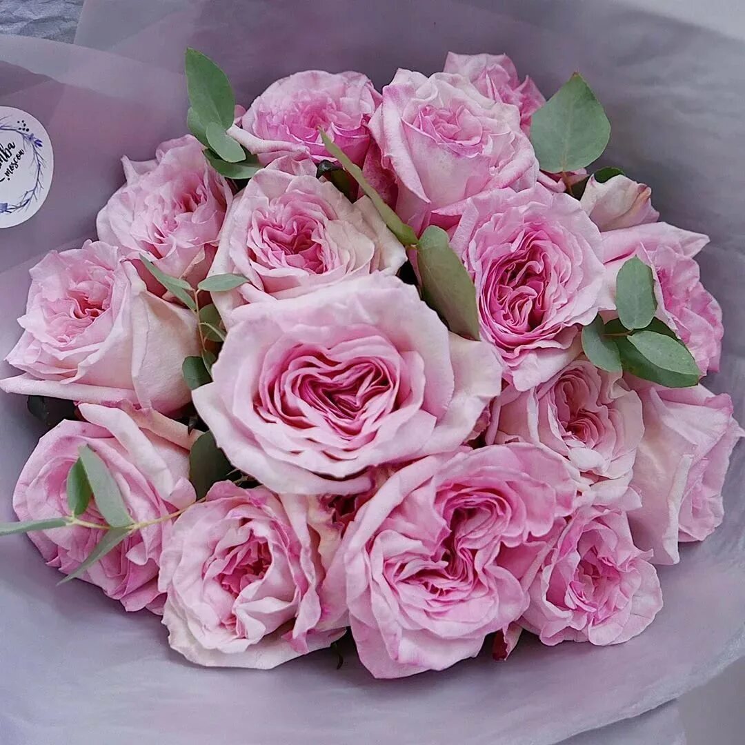 Пионовидные розы ред пиано. Пионовидные розы москва. Розы в москве. Розы пионовидиеаве. Букет пионовидных роз.