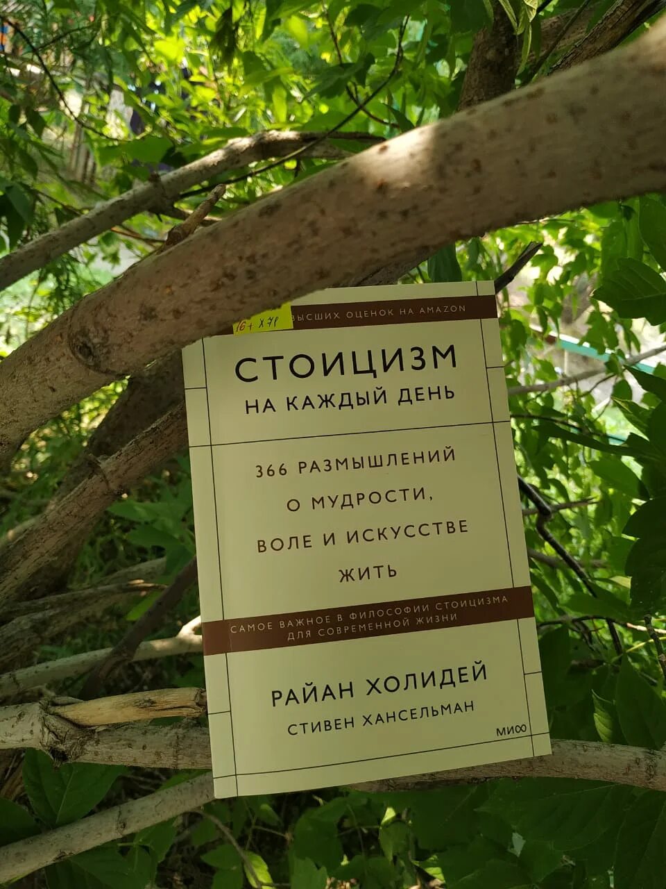 Стоицизм на каждый день книга. 366 Размышлений о мудрости. Стоицизм на каждый день 366 размышлений.