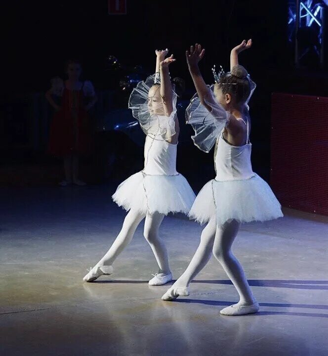 Балетная студия дуэт Москва. Студия балета дуэт Толорая. Танец дуэт балет. Балет панорама.