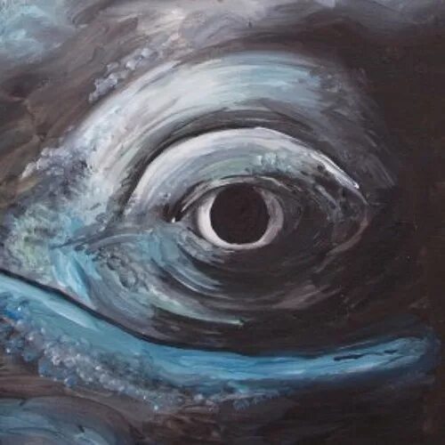 Как выглядит глаз кита Frequencies of the Heart’s Wavelength Killer whales, Whale, Orca whales