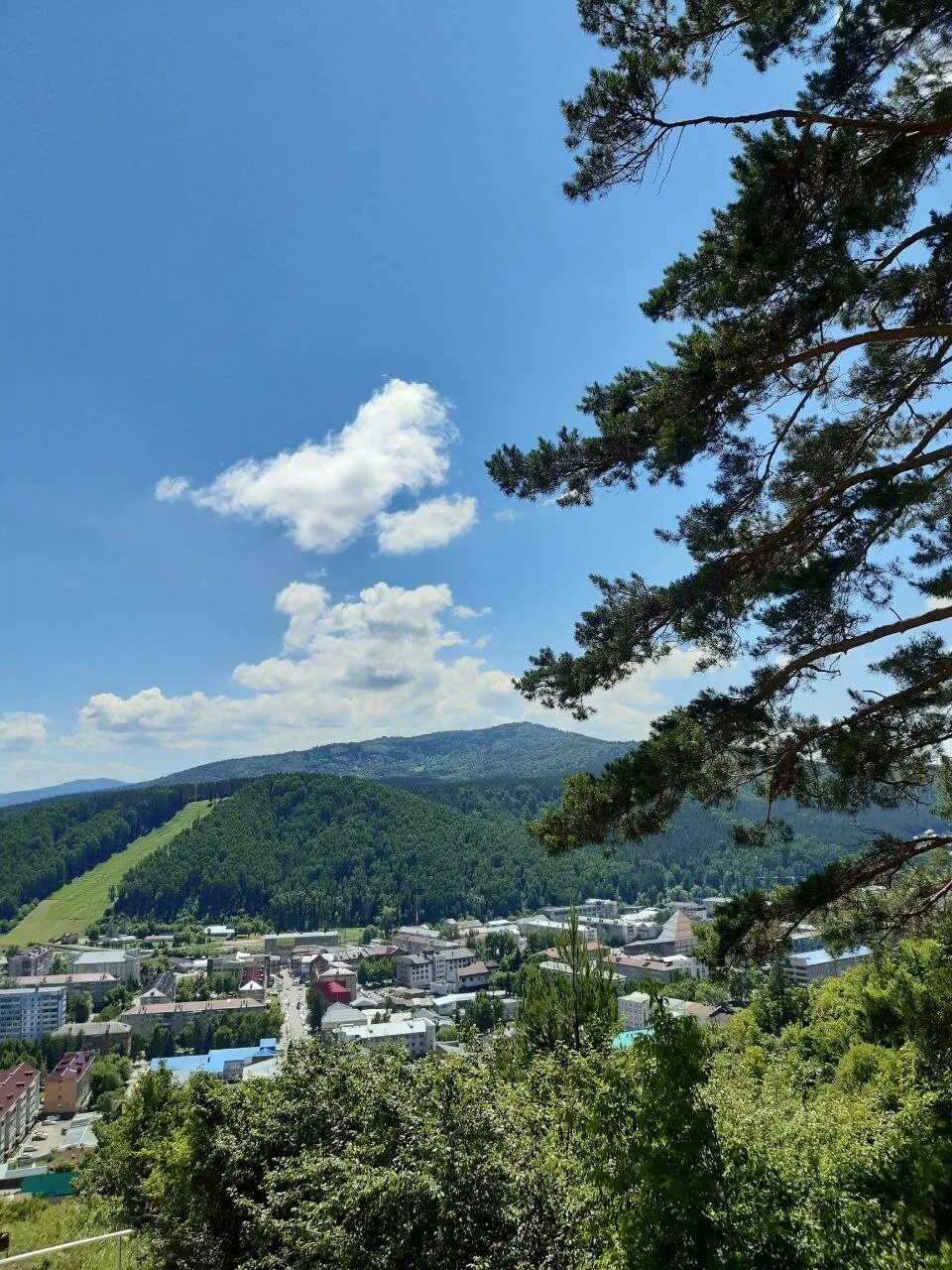 Горно алтайск курорты. Горно Алтайск. Горно Алтайск курорт. Лагеря Горно Алтайск летние. Горно-Алтайск летом.