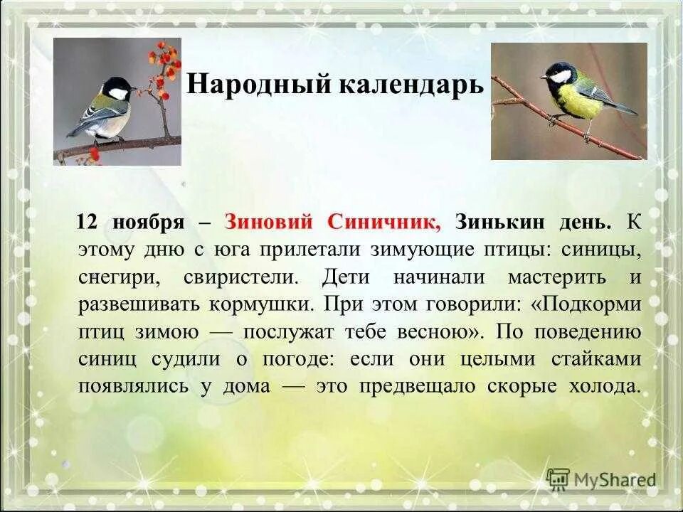 Приметы синички. Народный календарь про птиц. Синичкин день.