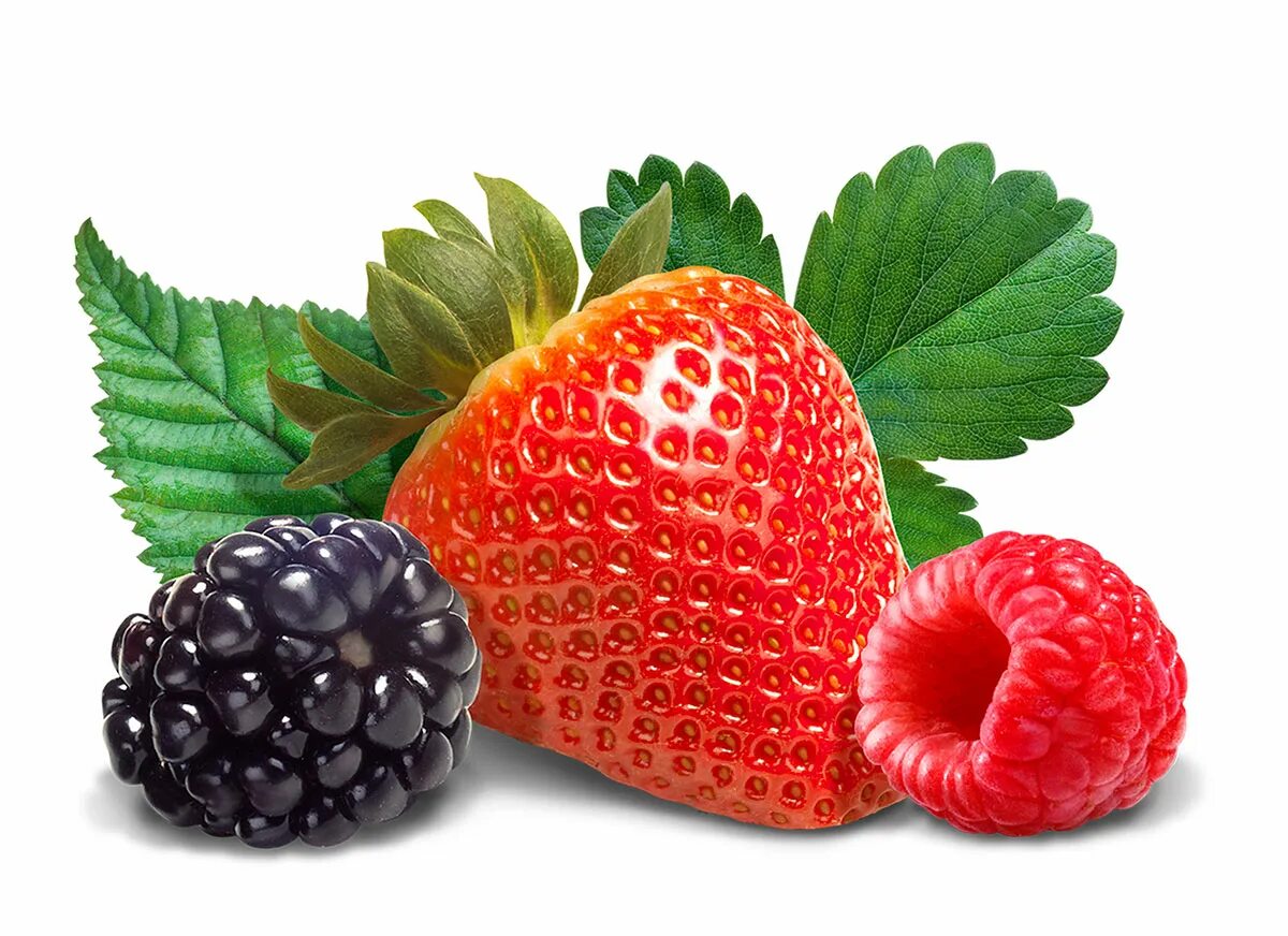 ягодки 3. клубника малина ежевика. ягодки 3. ягодки 3. ягоды клубника голубика малина.