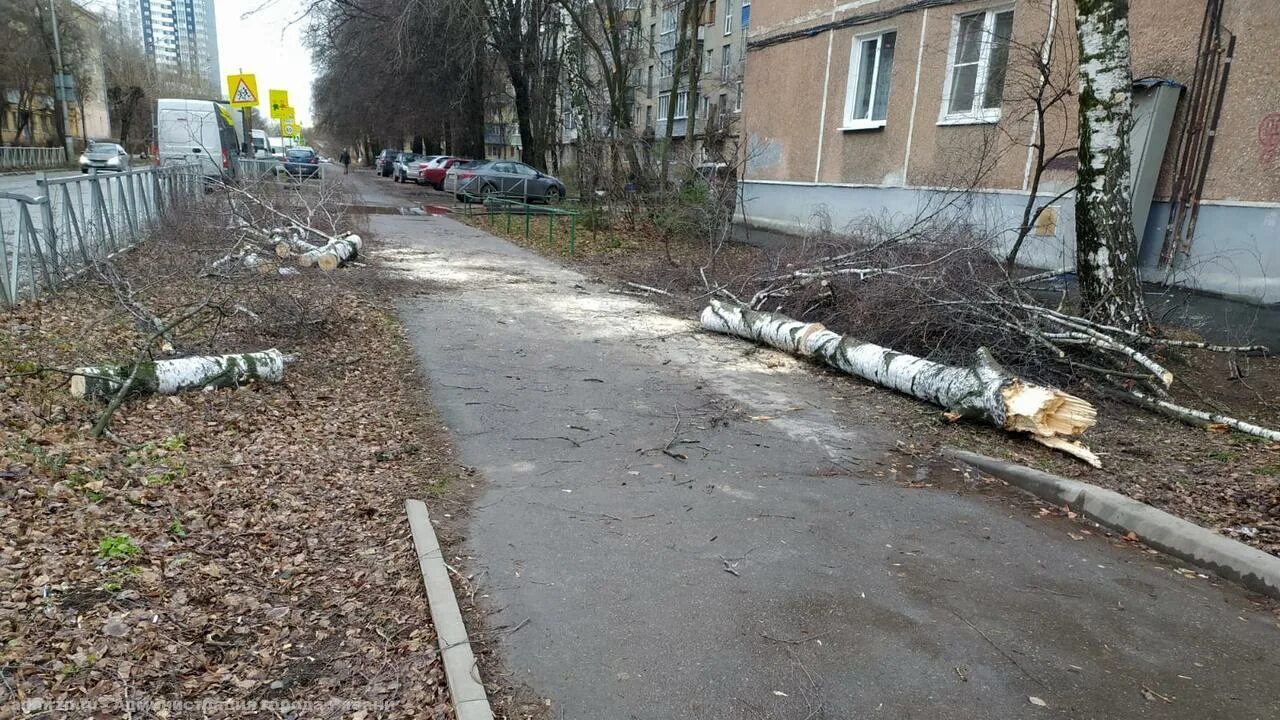 Последствия сильного ветра. Упавшее дерево в городе. Дерево упало на Рязанском проспекте. Дерево упало на частный дом.