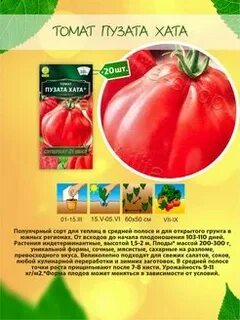 Томат пузата хата схема посадки