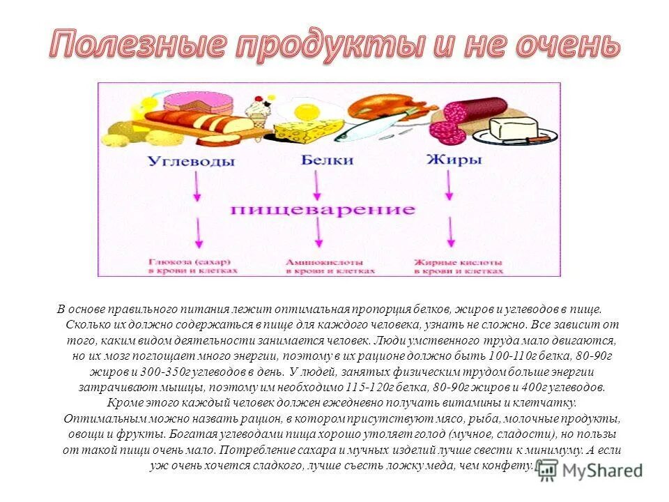 В каких клетках содержатся углеводы