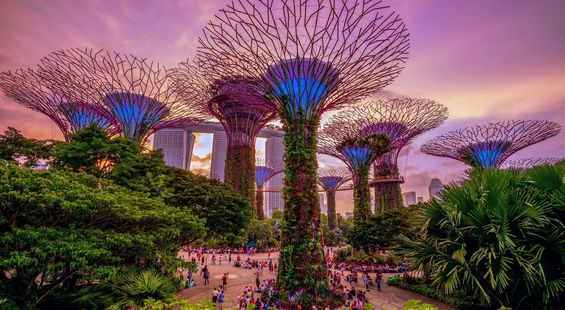 Тео янсен. Сингапур singapore. Сингапур. Создали удивительную страну. Выставочный центр «лотос» в городе чанчжоу (китай).