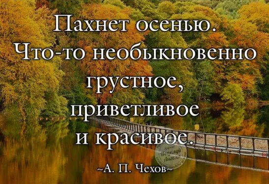 Литературный фестиваль. Красивые высказывания про осень. Чехов осенью. Фестиваль "чеховская осень". Чехов осенью.