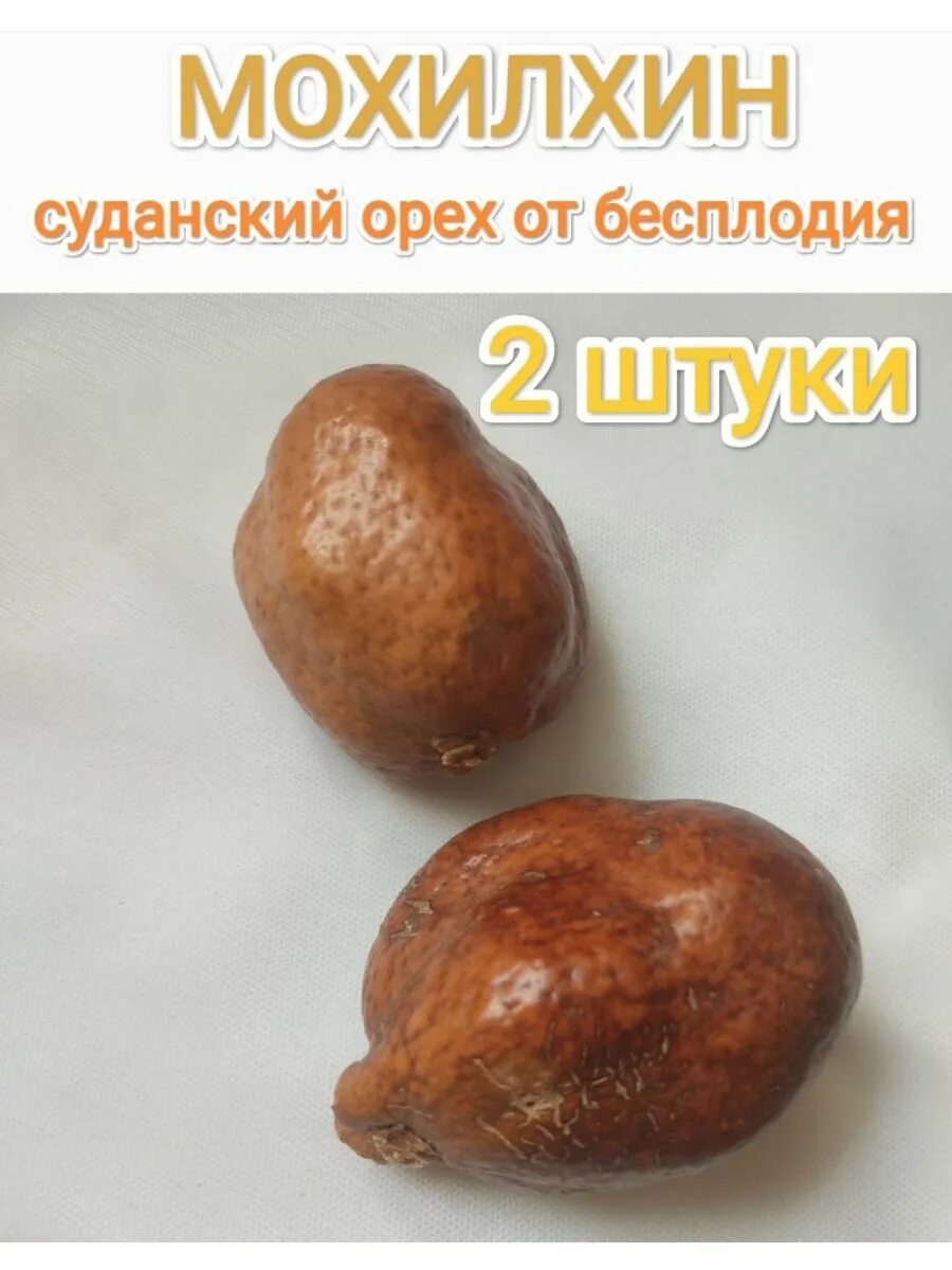 арабский орех мохилхин. мохилхин плод. мохилхин дерево. мохилхин орех. арабский орех мохилхин.