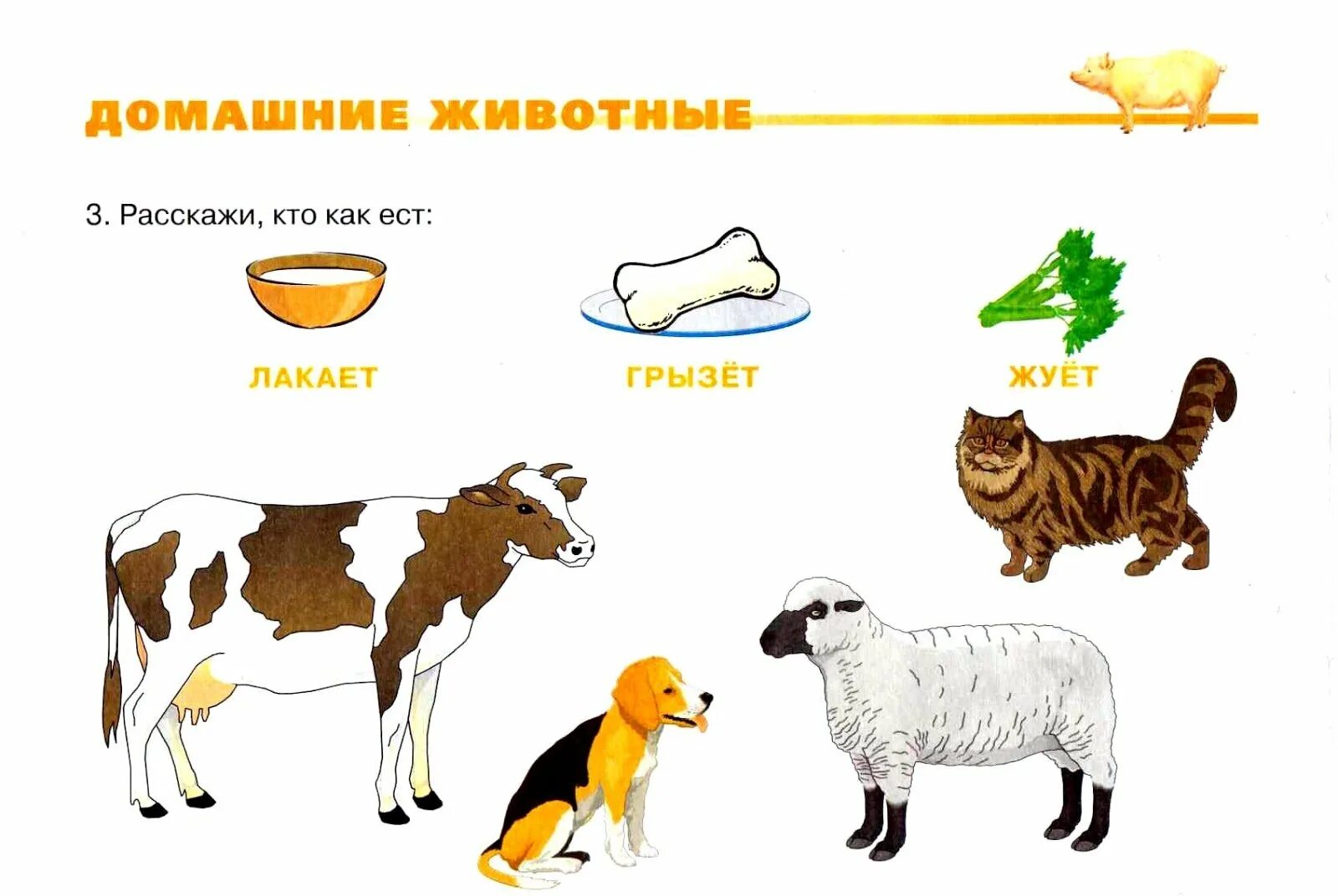 Лексика 4 года. Развивающие задания 1 младшая группа тема домашние животные. Задания для детей с домашними животными. Дошкольникам о домашних животных. Изображения домашних животных для детей.