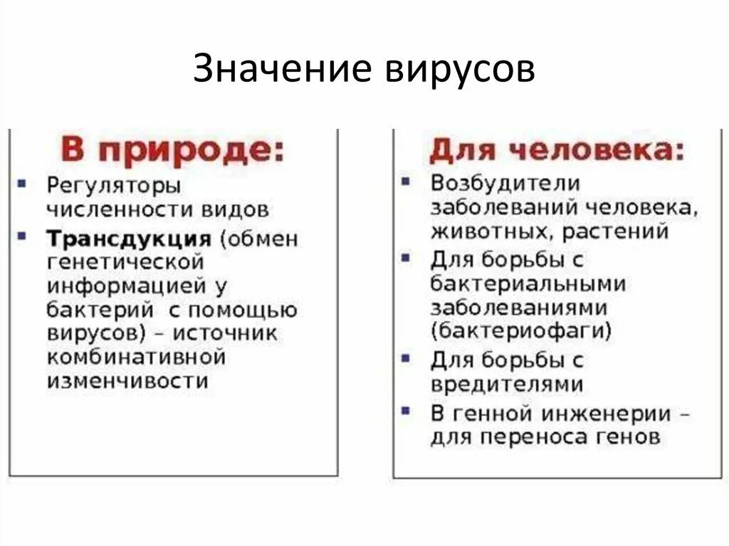 Вирусов в природе и жизни человека