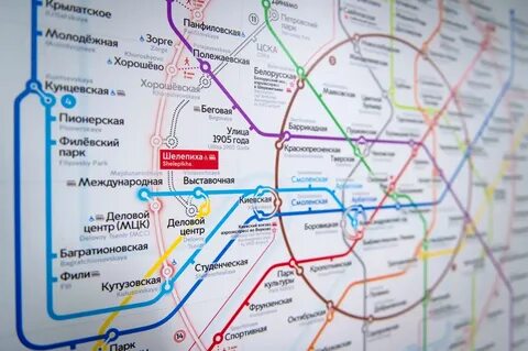 Кутузовская какая ветка