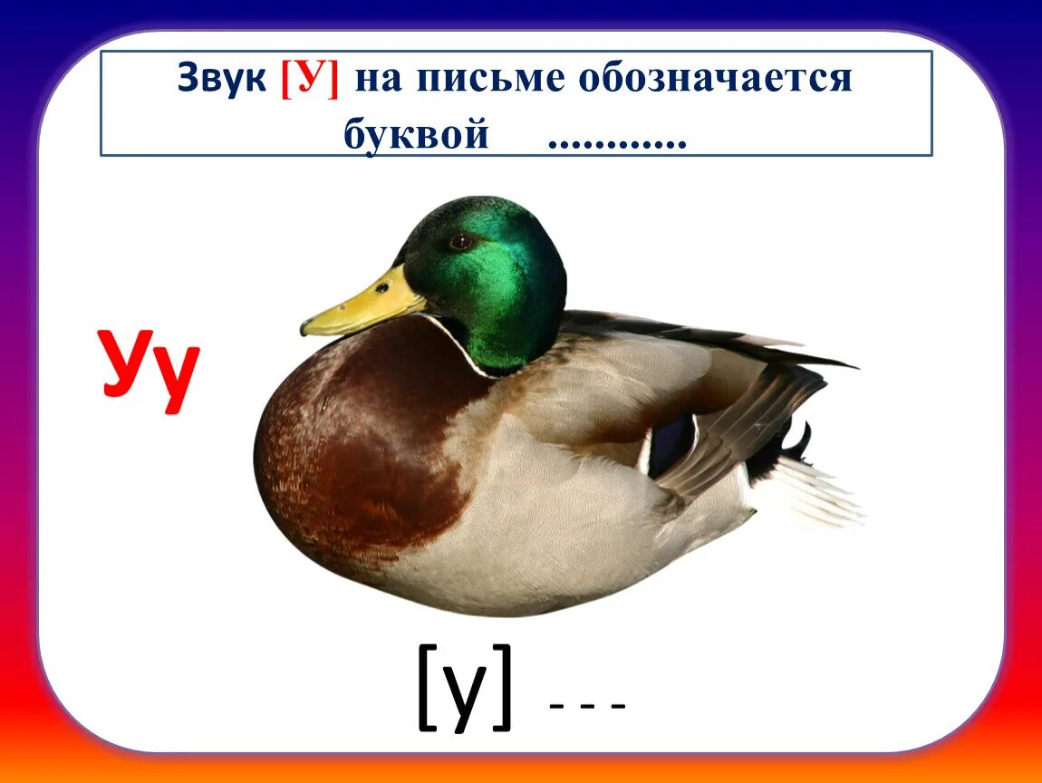 Буква на письме обозначается звуком. Звук на письме обозначается. На письме звуки обозначаются буквами. Заук на письме обозначат. Звук ж на письме как обозначается.