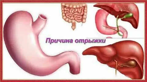 Отрыжка кишечник