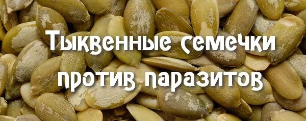 Как получить семена тыквы. Семена тыквы от паразитов. тыквенные семечки против паразитов. семена тыквы против паразитов. семечки тыквы от паразитов.