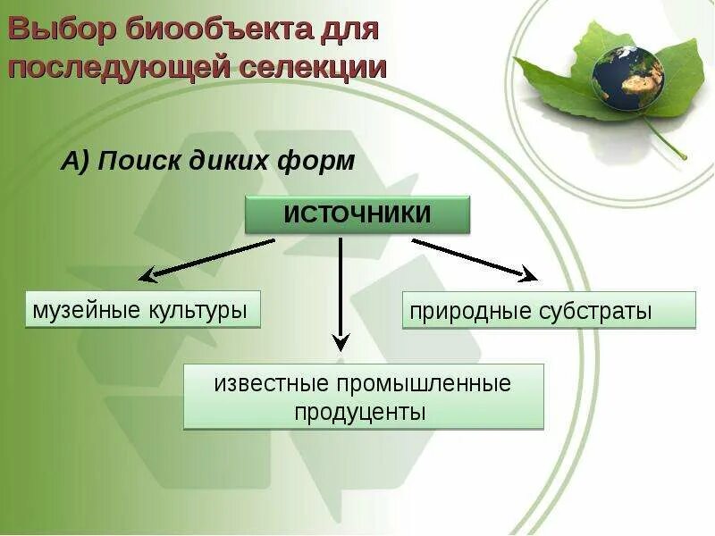 Селекция презентация 10 класс. Методы селекции и биотехнологии. Селекция и биотехнология. Современные методы селекции биотехнология. Методы селекции растений.