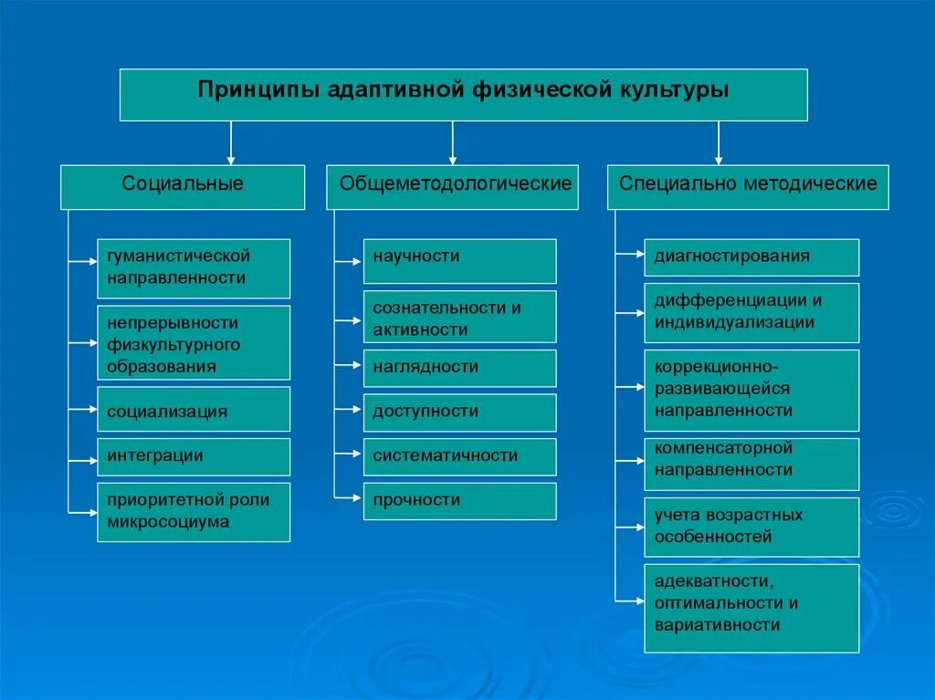 Принципы адаптивной физической культуры. Формы организации занятий по адаптивной физической культуре. Основные направления адаптивной физической культуры. Принципы адаптивной физкультуры. Задачи особых групп