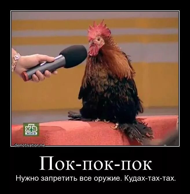 Потный негр. Человек на петушинной жердочке. Рядом с любимым человеком цитаты. Сказала тебя забыла спросить. Ты меня любишь.
