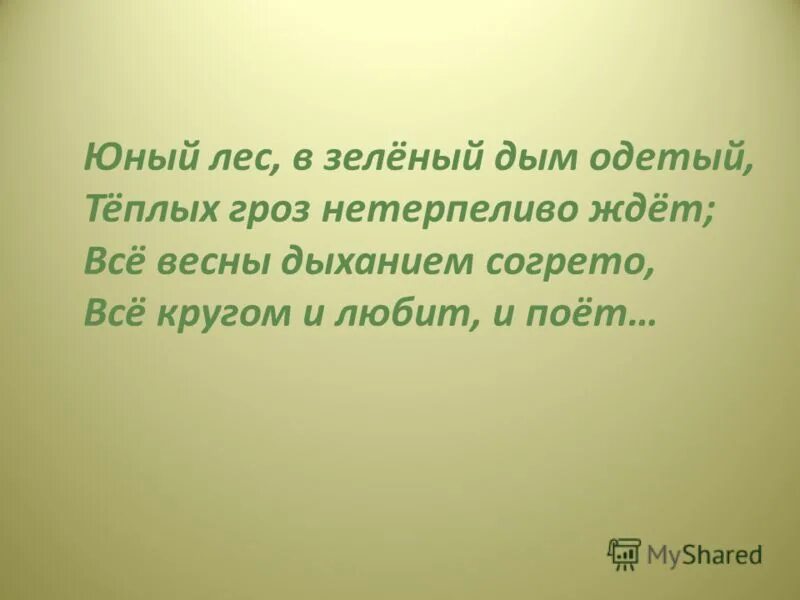 юный лес в зеленый дым одетый