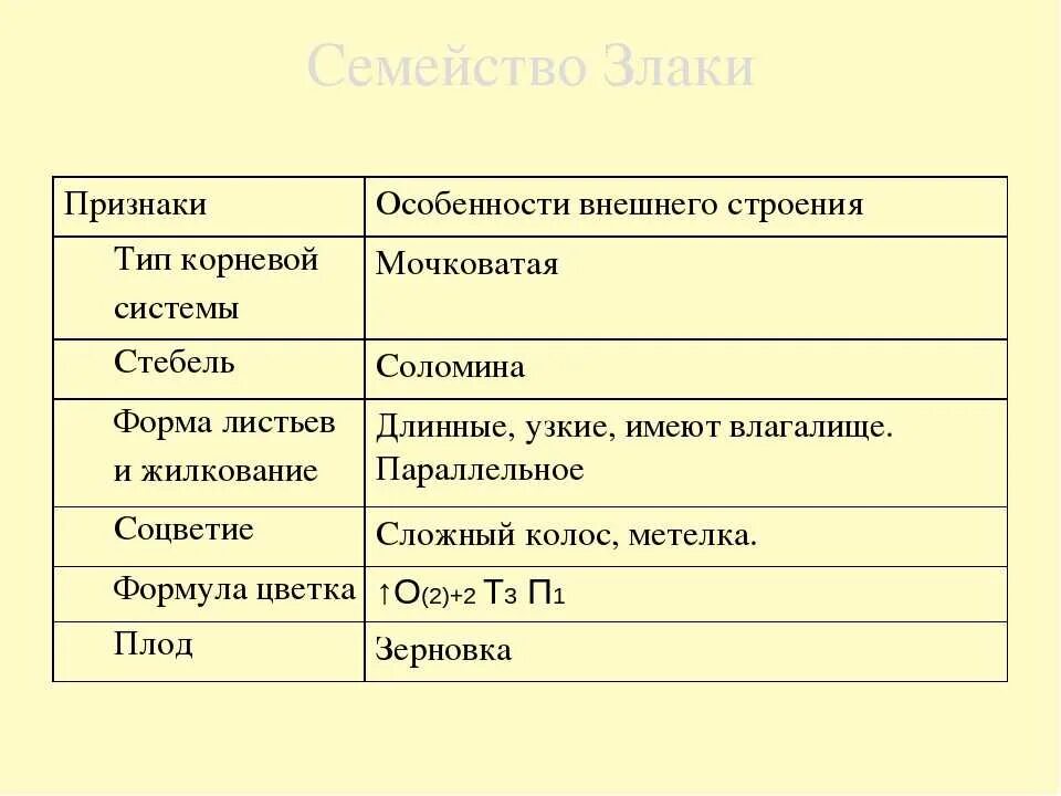 Семейство злаковые 7 класс. Однодольные растения злаки таблица. Признаки растений семейства Лилейные. Особенности семейства злаковых. Характеристика семейства злаковые.