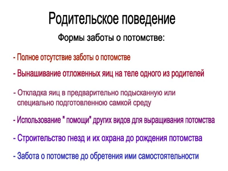 Родительское поведение. Родительское поведение млекопитающих. Родительское поведение у животных кратко. Формы заботы о потомстве. Заботиться форма