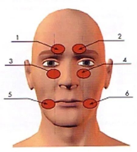 Фотографии 6 точки. Точки Валле тройничного нерва. Точки выхода ветвей тройничного нерва. Точки пальпации тройничного нерва. Триггерные точки тройничного нерва.